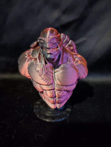 Teenage Mutant Ninja Turtles Raphael. TMNT Red Black Statue Bust Custom