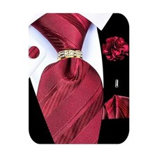 5PCS Tie and Pocket Square Set for Men, Silk Tie and Red Tie Set -260
