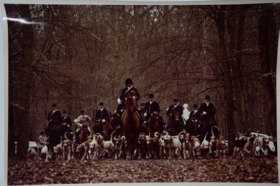 PHOTO Argentique	France	chasse à courre vénerie cheval chien 24x30cm	1970