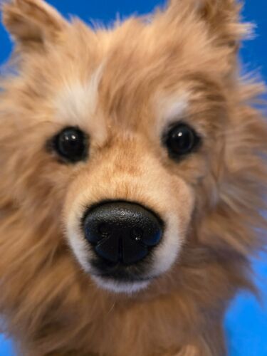 'PRICE REDUCED "!!! Hand-Crafted Dragon Moss brand plush Pomeranian Mix