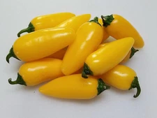 100ct  Heirloom Yellow Hot Jalapeno Pepper Seeds - Medium Heat, Citrussy Twist!