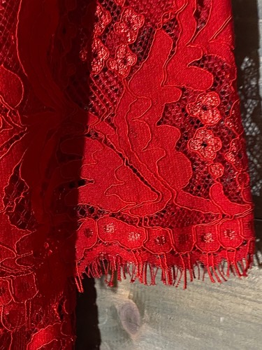 Jessica Howard Damengröße 16 Spitzen-Overlay Etui-Kleid rot vollständig gefüttert Reißverschluss - Bild 7 von 18