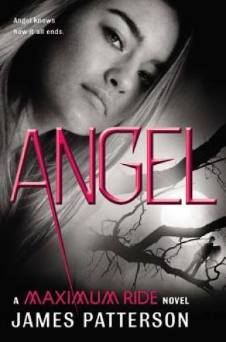 Angel: A Maximum Ride Novel - Hardcover By Patterson, James - GOOD
