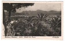 Mallorca Pollensa Port RPPC Postcard Balearic Islands Spain Mediterranean