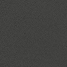 Nissan Dark Steel Leather Dye