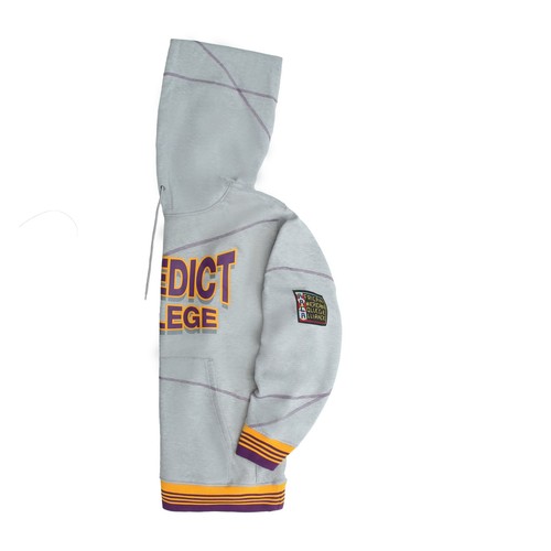 BENEDICT COLLEGE Hoodie | Retro HBCU Pride AACA Sweatshirt | Alumni Gear - Picture 5 of 9