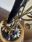 Foto 12 di 12