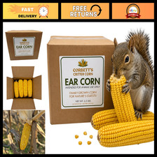 All-Natural Whole Cob Corn for Wildlife, 13 Husk-Free Ears Deer Squirrel Fee