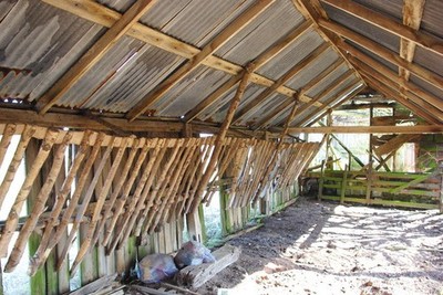 Foto A2 Viehschuppen Pfeil neben dem stillgelegten Stall (vorgestellt in th c2010