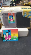 THE LEGEND OF KAGE NINTENDO NES VIDEO GAME GAME & MANUAL