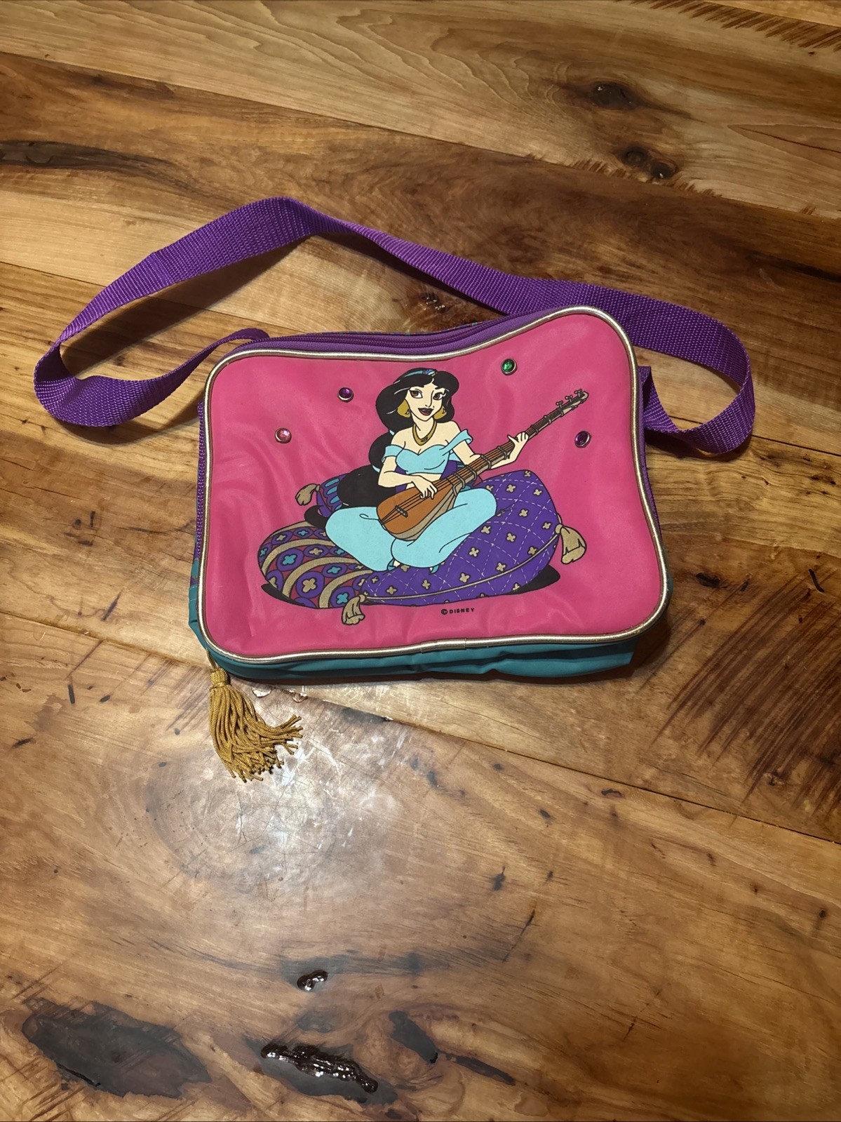 Disneys Vintage Aladdin Soft Sided Lunch Bag Jasmine