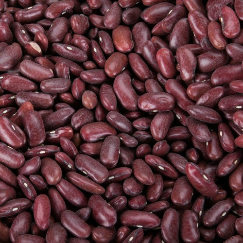 Bulk Dried Beans 8 lb. Bag (select variety from drop down) - Picture 11 of 25