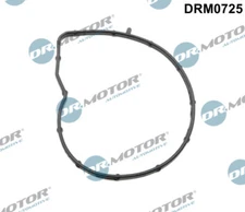 Dr.Motor Automotive DRM0725 Gasket, Water Pump for BMW CITROËN DS MINI PEUGEOT