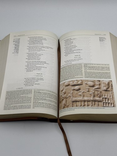NIV Zondervan Study Bible, Imitation Leather, Brown. No Known Writing Inside - Foto 9 di 11