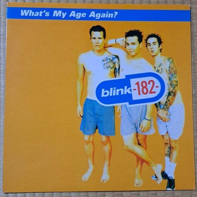 Blink-182 What s My Age Again Analog Vinyl | eBay