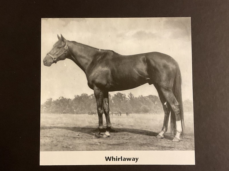 WHIRLAWAY PHOTOS 8 LOT Horse Racing   plus charts of THE 1941 TRIPLE CROWN RACES