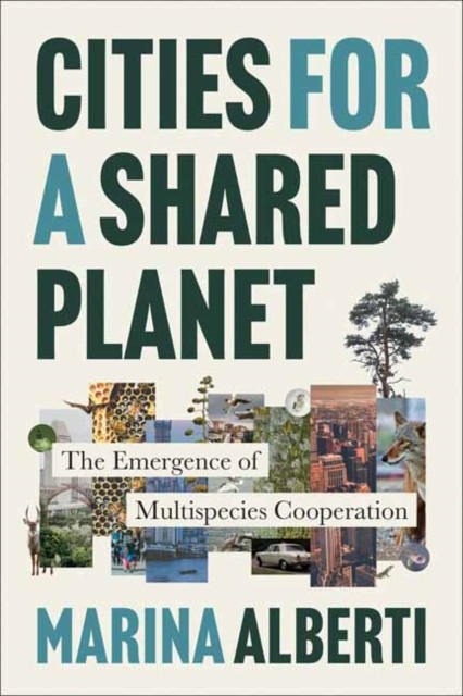 Cities for a Shared Planet: The Emergence by Marina Alberti | PB | 2026 - Image 4