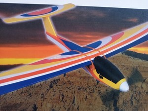 Electric Glider | eBay