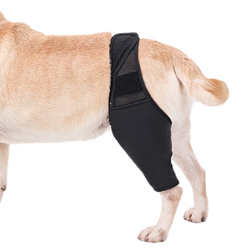 Hip Knee Brace For Dogs Pet Dog Knee Support Recover Leg Protector out of harm