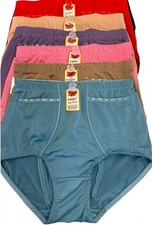 2 or 6 High Waisted Briefs Girdles Panties Tummy Control 020 Travel Safe Pocket