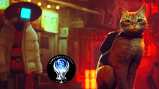 Stray PS4 Or PS5 Platinum *Not Game*