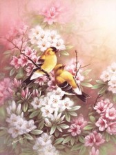 Ceramic Backsplash Tile Mural Bird Kitchen/Bathroom - American Goldfinches