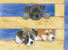 Akita Birthday Card 5 x 7 with Envelope