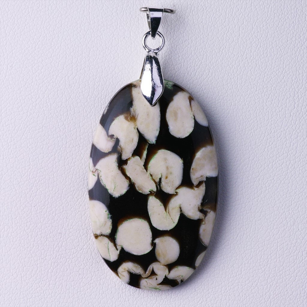 Pendentif palétuvier fossile 37.01 ct et argent, résolvez votre quête de bijoux uniques