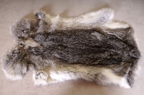 Schönes graues Hasenfell Länge: 53cm Rabbit Fur - Bild 1 von 2