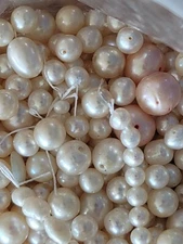 HUGE Lot Mix Genuine Pearls Many Shapes Size  1/2 POUND !!! LOTS of Pearls !!!