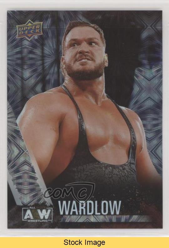 2021 Upper Deck AEW All Elite Wrestling Pyro Wardlow #49 Rookie RC READ 0p0t
