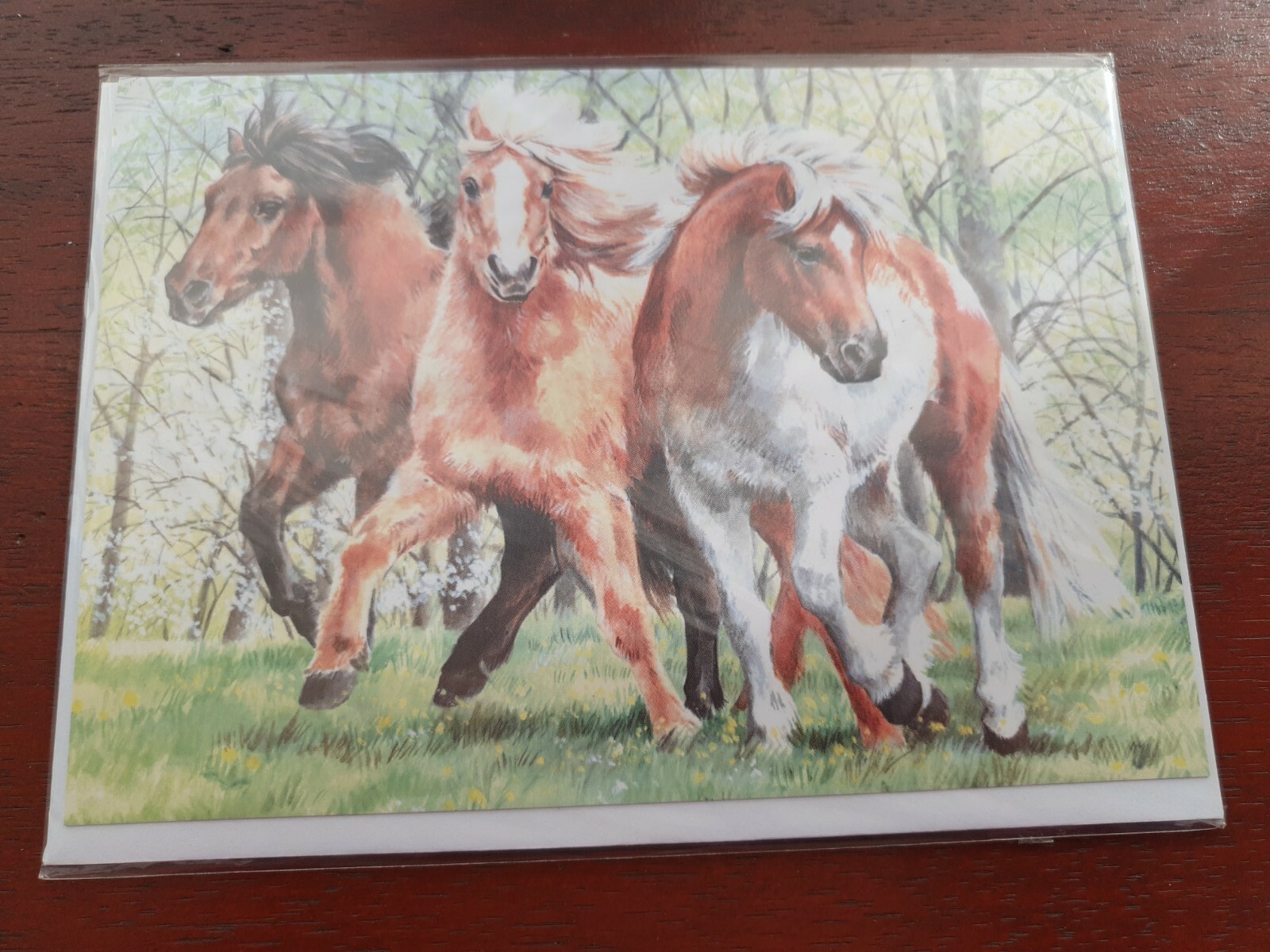 Ponies greetings card PONY horse HORSES blank card Caroline Cook equestrian art