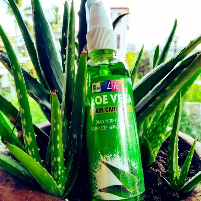 apollo aloe vera gel