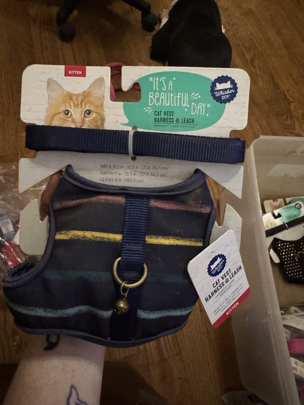 Whisker City Cat Vest Harness Leash Kitten Size NEW Navy With Colorful Stripes