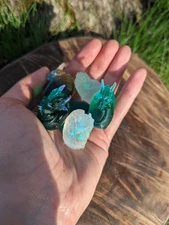 Surprise Dragon Hatchling Minis