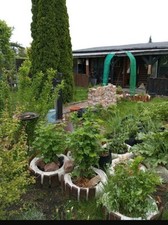 Sommerresidenz/ Pachtgarten