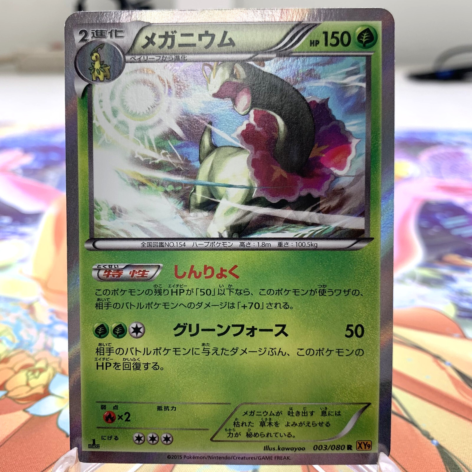 Meganium 003/080 R Holo 1st Edition XY9 Japanese Pokemon Card ~ MP