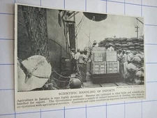 West Indies Jamaica crates loaded ship workers c 1930