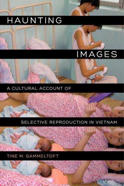 Haunting Images by Tine M. Gammeltoft PAPERBACK 9780520278431