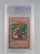 Yugioh Kiseitai PSV-046 Pharaohs Servant 1st Edition PGS 8.5 (8974)