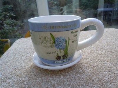 Hyacinthus Orientalis Keramik Tasse und Untertasse Übertopf