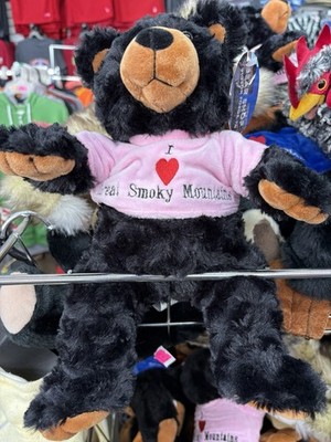 Great Smoky Mountains Tennessee Plush Bear Souvenir with Pink Shirt