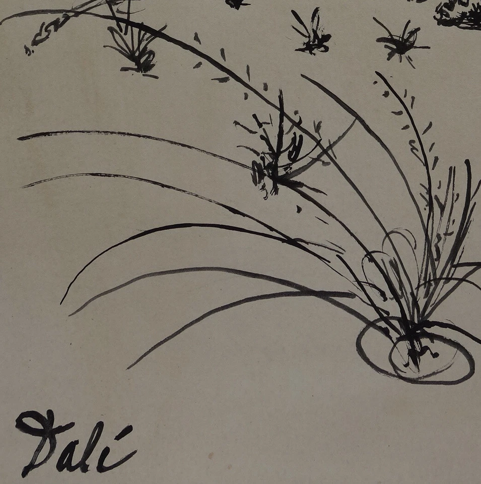 Raro dibujo de composición surrealista único, firmado Salvador Dalí Foto 4 de 4