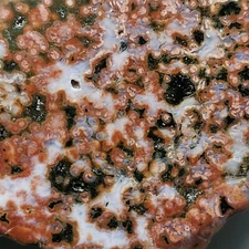 Collection ! Amazing Orbicular Ocean Jasper Agate Freeform Reiki Stone Healing