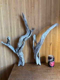 Driftwood x2 rami argento pesante. di palude per vivarium o espositore