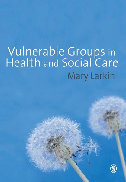 Mary Larkin | Vulnerable Groups In Health And Social Care | Taschenbuch (2009)-image