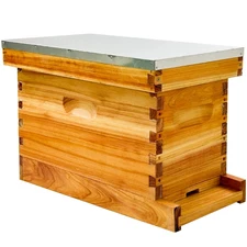 5 Frame Bee NUC Box Kit Beeswax Coated Includes Bee Hive Frames and Foundations 