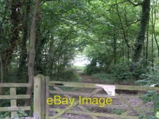 Photo 6x4 Lake in the Woods Church Town/SK3916 This small lake and woodl c2006