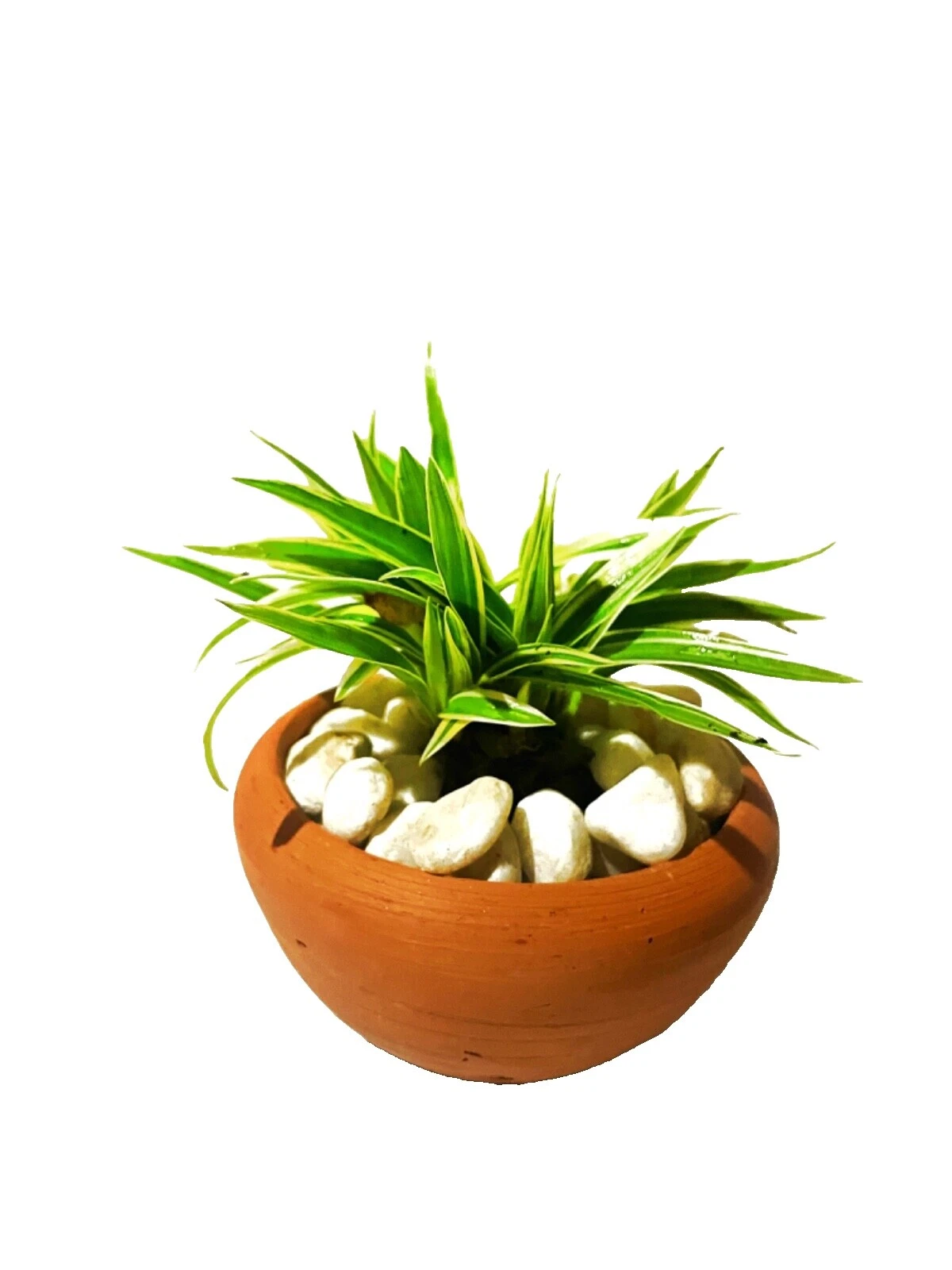 Clay Brown Plant Baskets, Pots, Window Boxes & Saucers