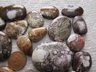 36 WildHorse Magnesite Cabs 1000 carat wild horse Natural Wholesale Lot Cabochon — photo 3